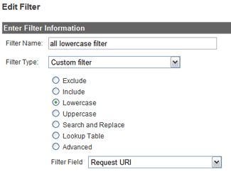 galowercasefilter 7 Google Analytics Filters To Help Understand Your Visitors