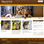 Marywood University 150x150 Lessons of April Fools Day
