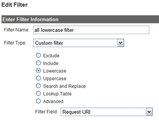 galowercasefilter Google Analytics 101: Some Basic Setup Tips