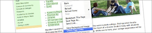 checklinks Web Development Tools. Whats in your web toolbelt?